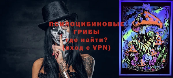 прущая мука Богородицк