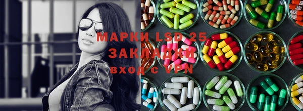 шишки Белоозёрский