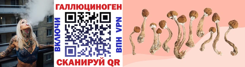 Галлюциногенные грибы мицелий Унеча